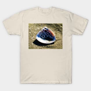 A Shell Full of Foam T-Shirt